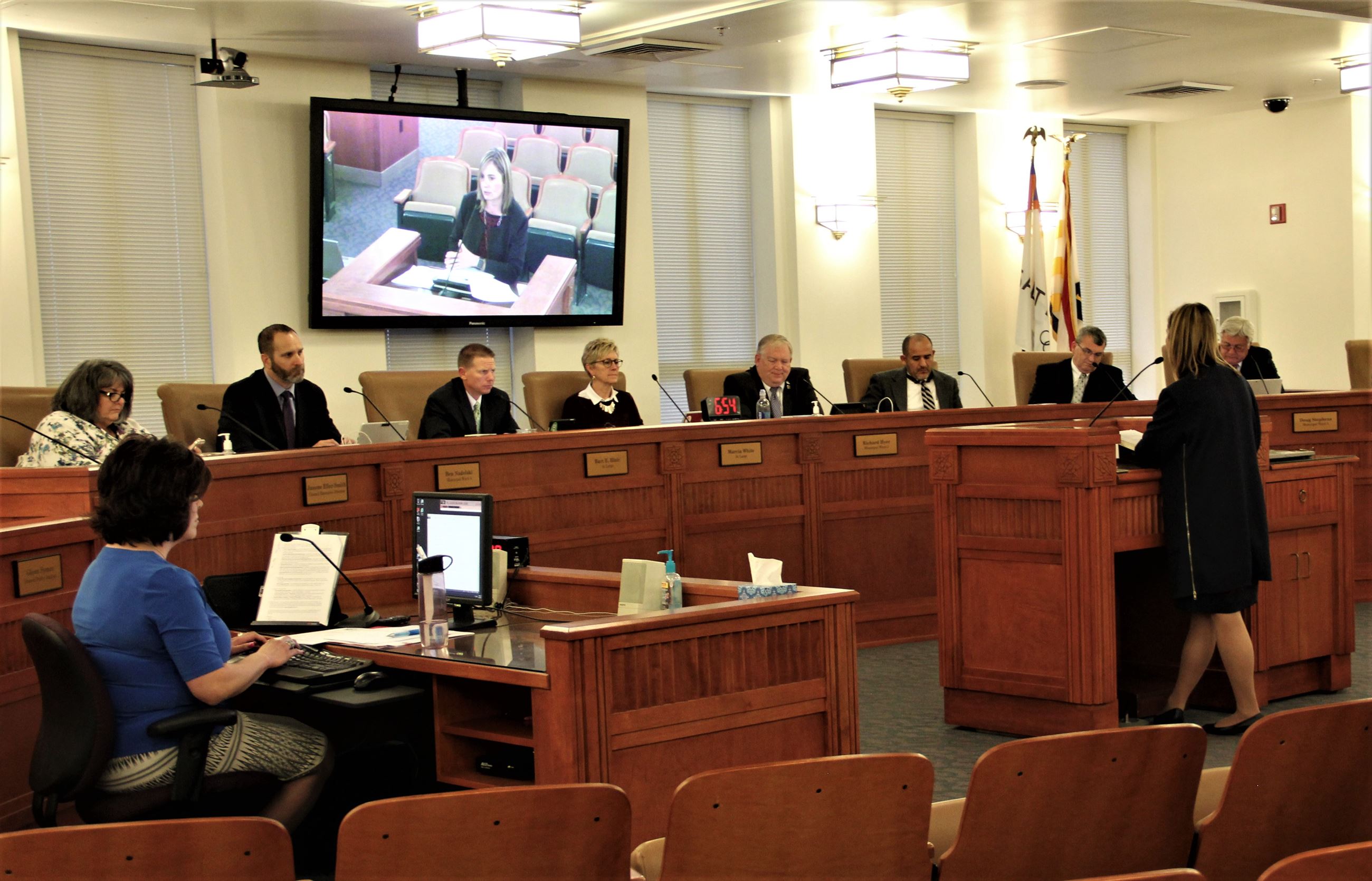 Deputy City Attorney Mara Brown address Council on new dog ordinance