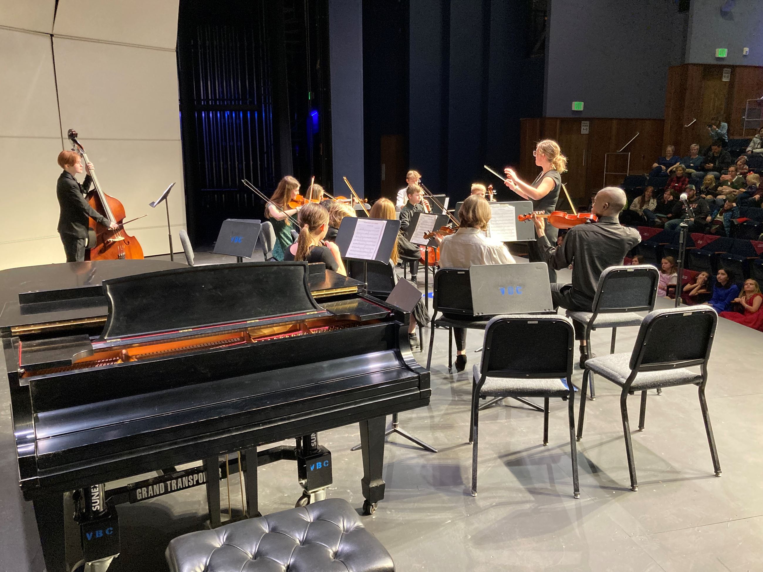 WSU Strings Project, Image 2