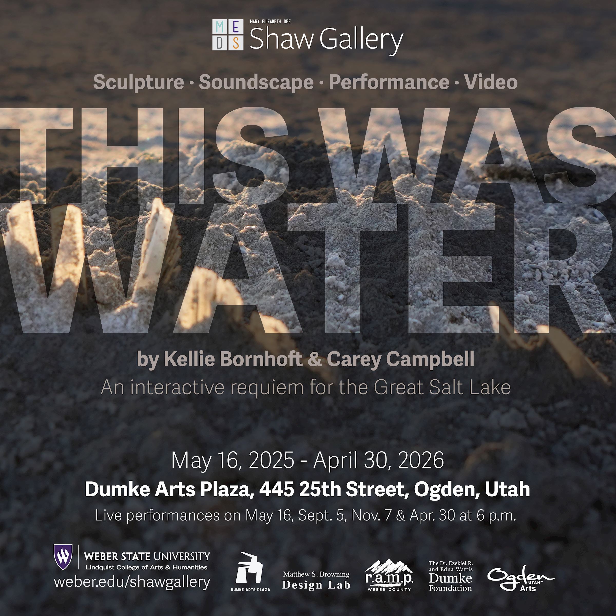 Shaw Gallery website(1)